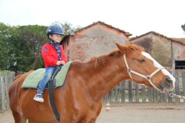 Reiturlaub im Agriturismo Paganico