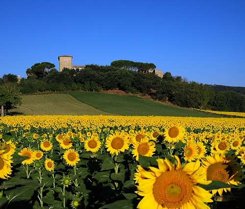 Burg Castiglione, Nähe Perugia