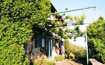 Landhaus Buti 2