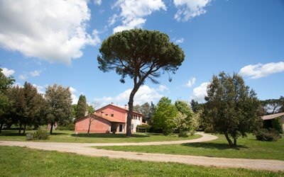 Bio Agriturismo Paganico 1 | Toscana Forum