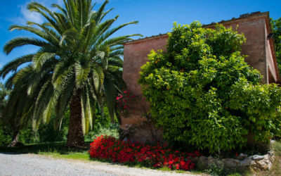 Viste esterne dell'Agriturismo Crespina 05