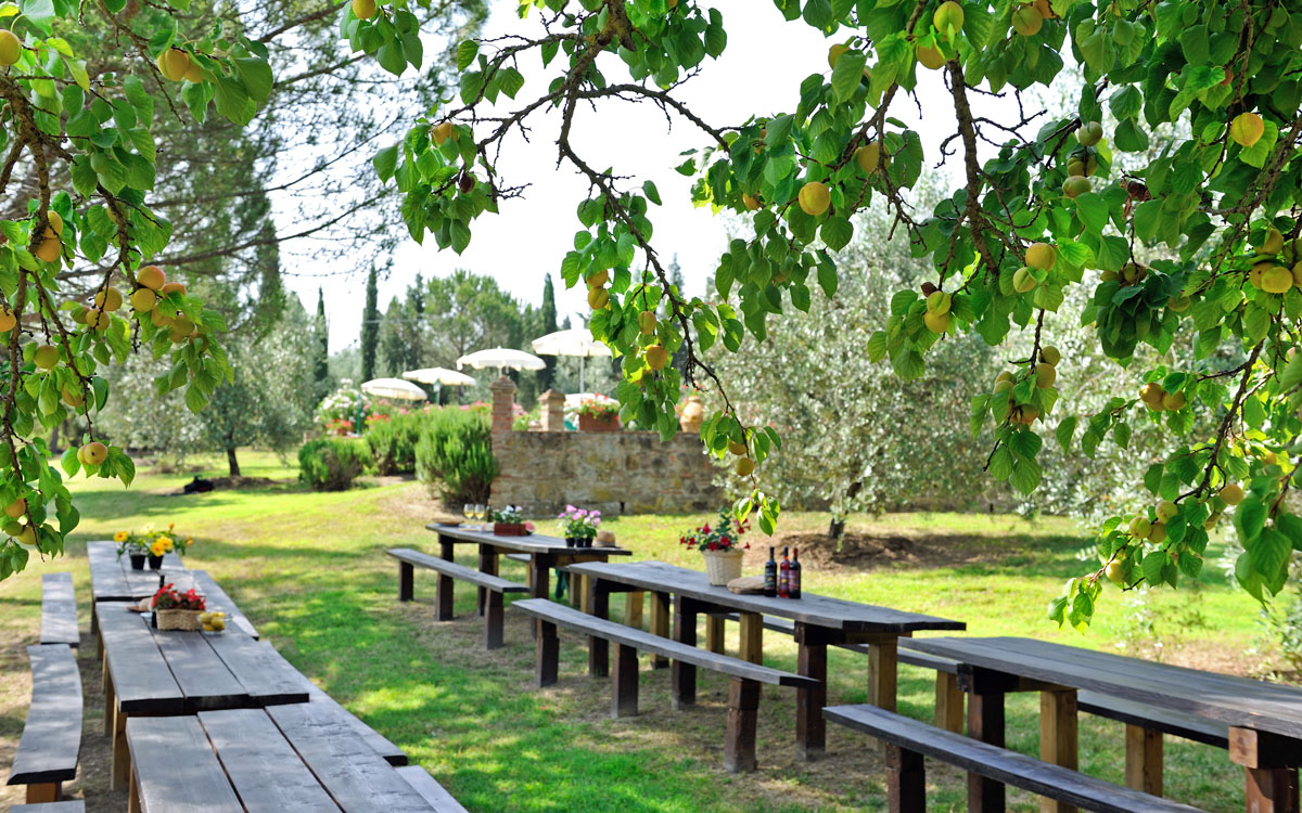 Agriturismo Peccioli 3 Außenansichten 06 Agriturismo Peccioli 3 Außenansichten 06