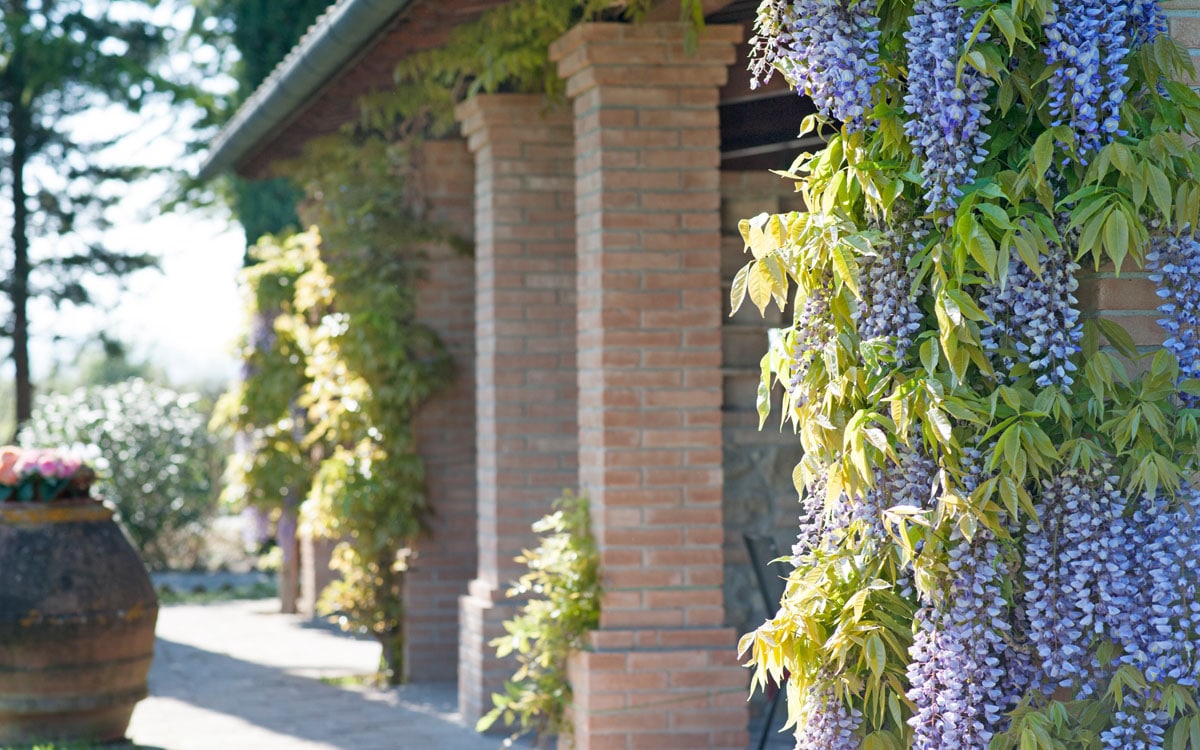 Agriturismo Peccioli 3 Außenansichten 10 Agriturismo Peccioli 3 Außenansichten 10