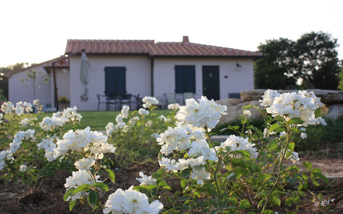 Agriturismo Saturnia 1 (15)