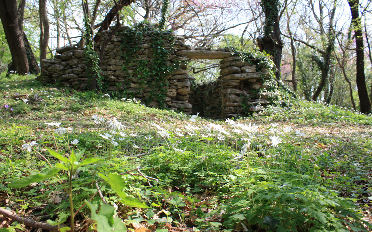 Agriturismo Saturnia 1 (25)