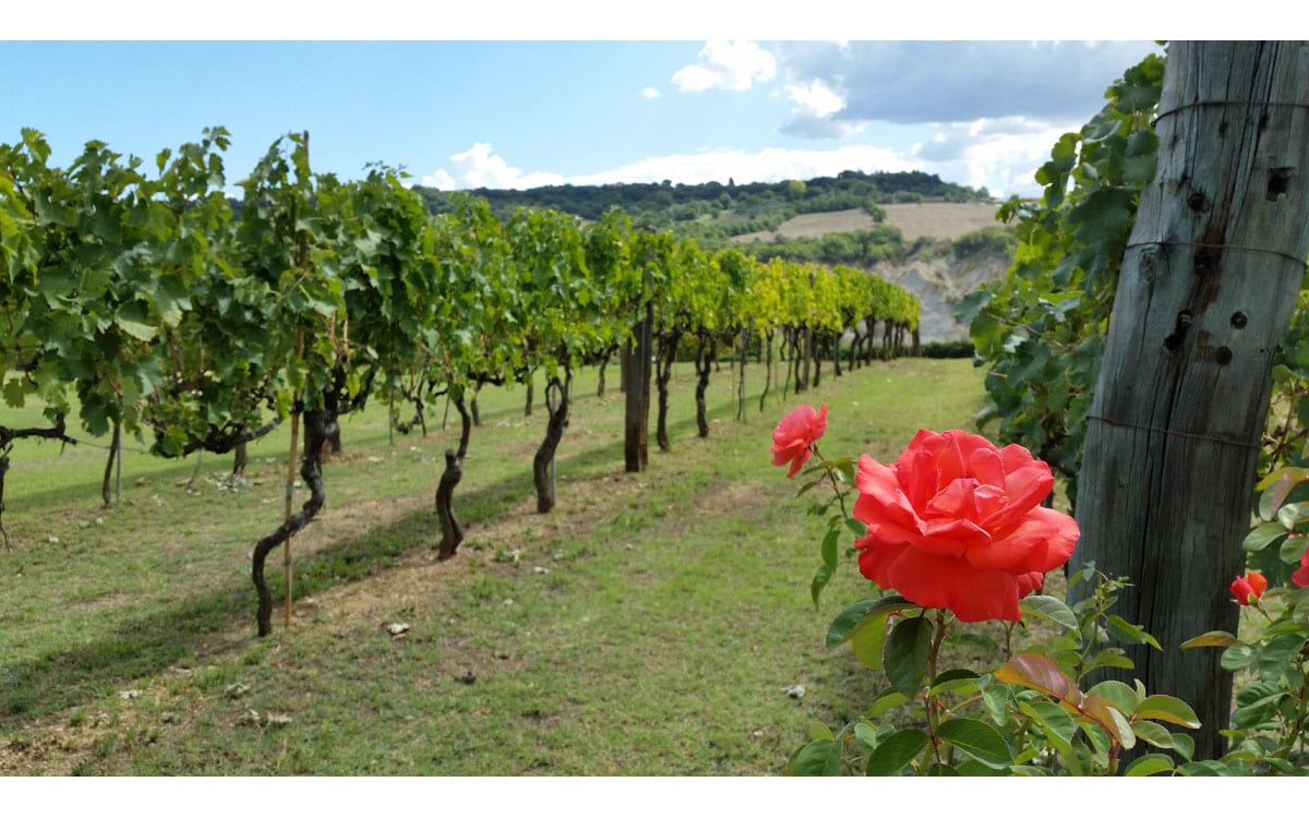 Agriturismo Saturnia 1 (8)