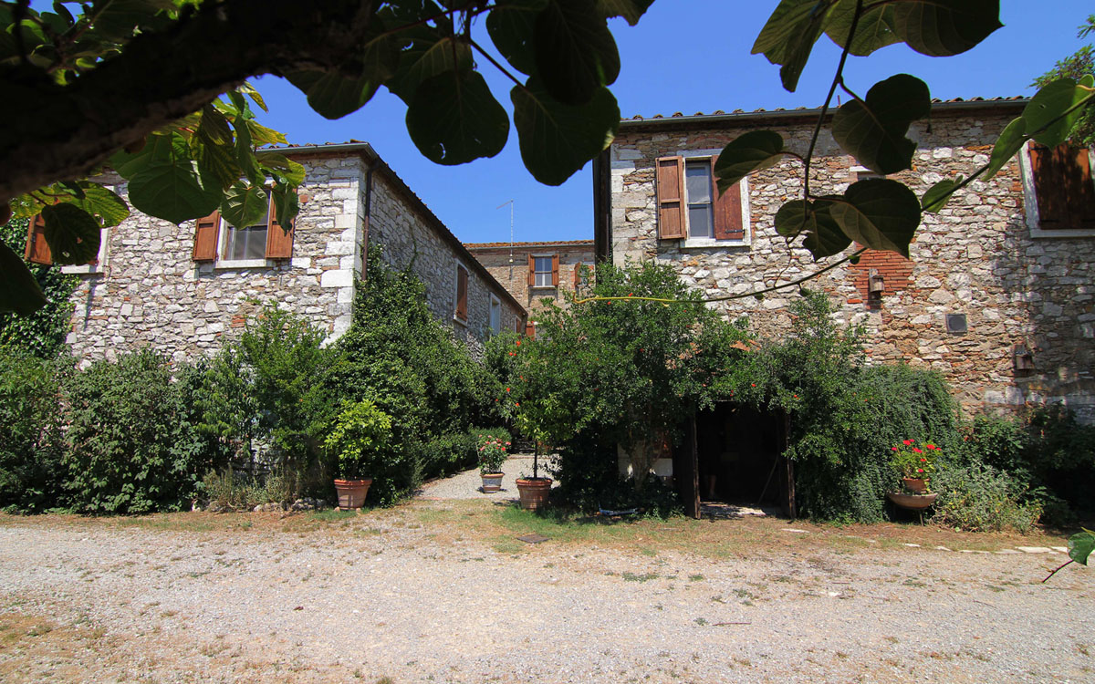 Bio Bauernhof Asciano 1 (20) Bio Bauernhof Asciano 1 (20)