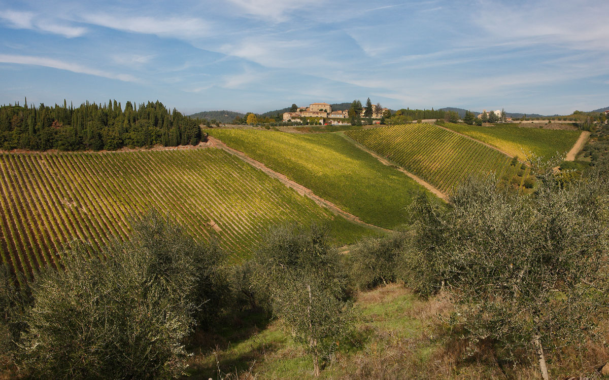 Burg Chianti 3 Panorama 03 Burg Chianti 3 Panorama 03