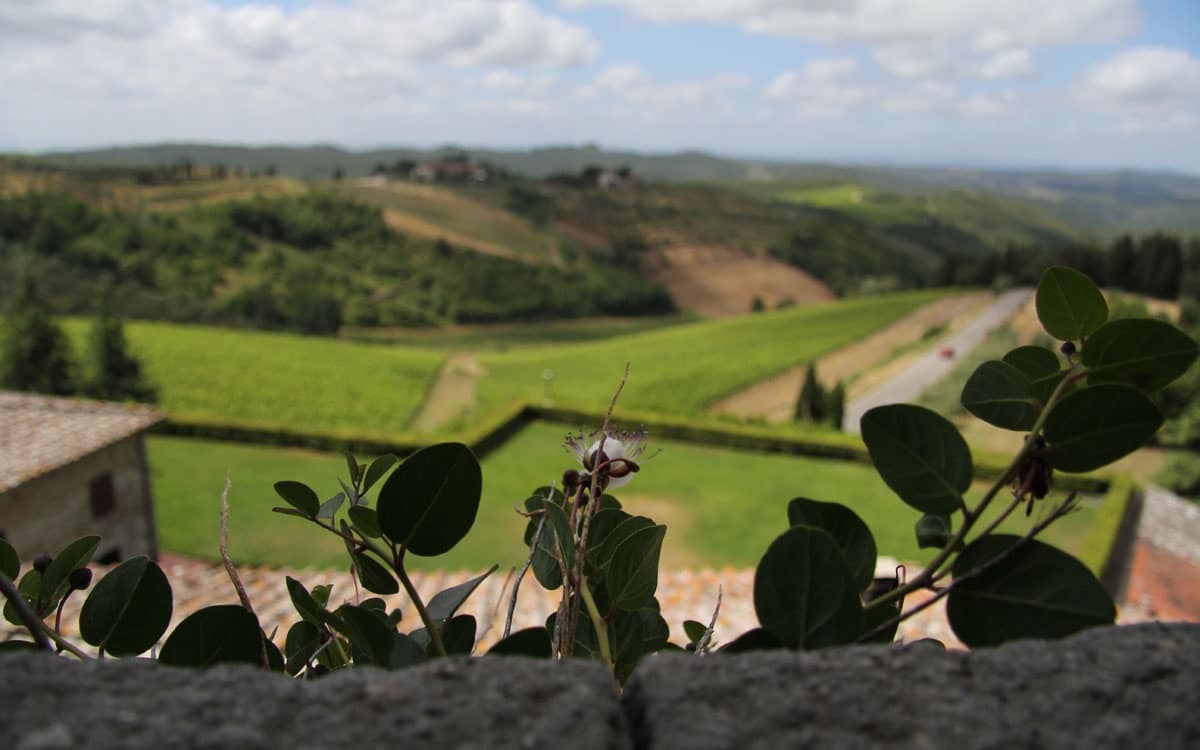 Burg Chianti 4 Panorama 04 Burg Chianti 4 Panorama 04