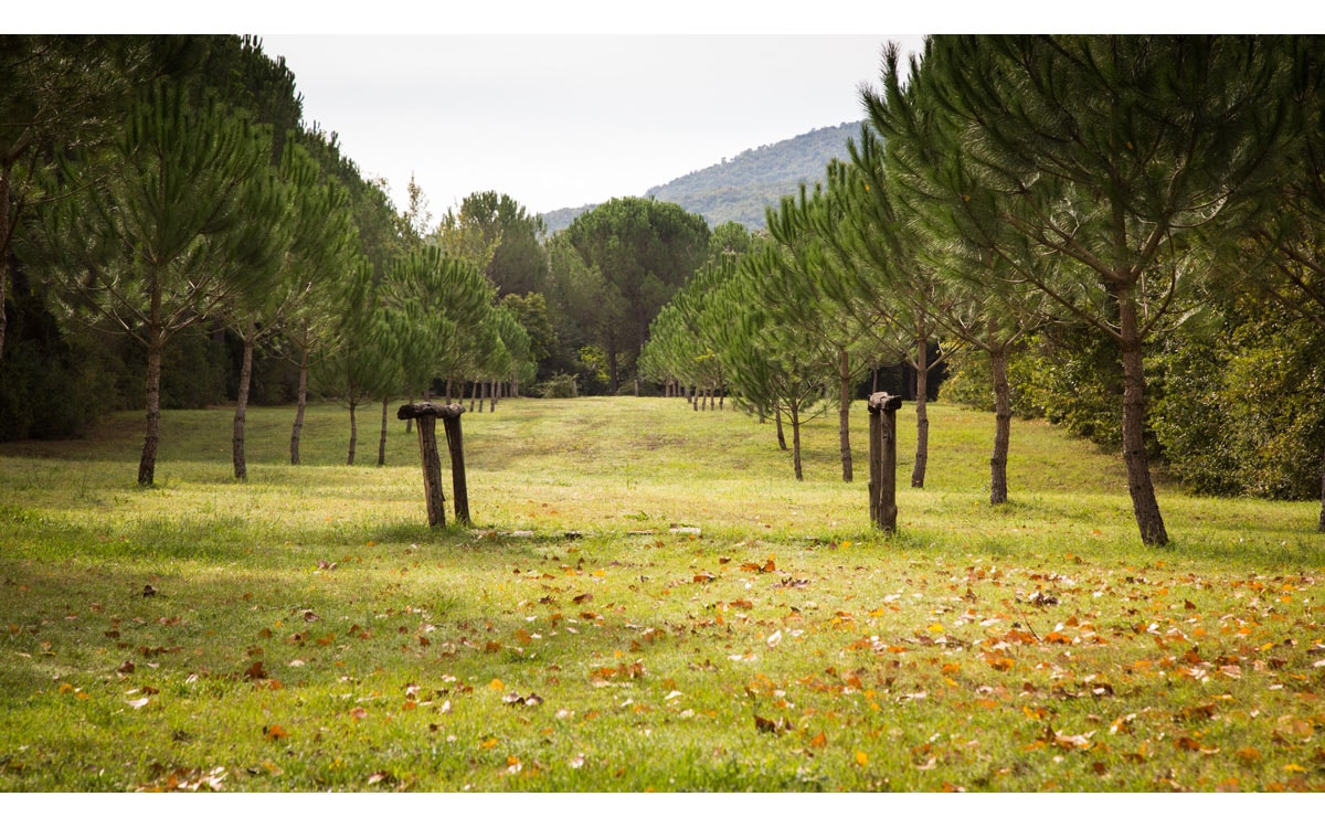 Cottage La Sassa 1 Außenansichten 14