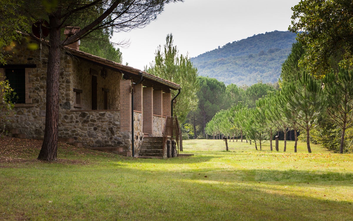 Cottage La Sassa 1 Außenansichten 16