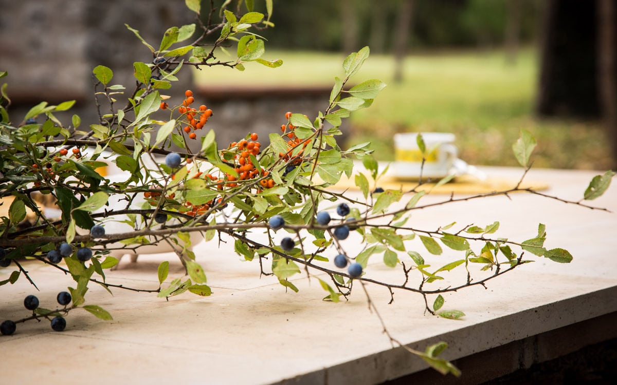 Cottage La Sassa 1 Impressionen 05