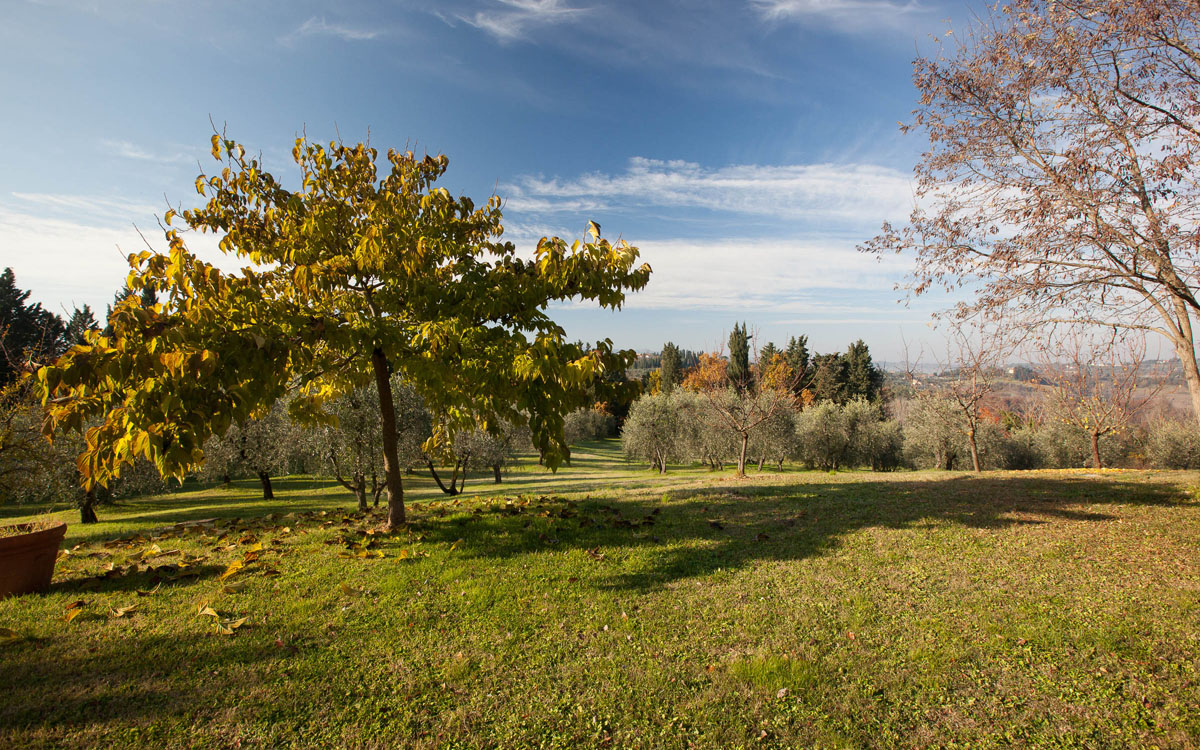 Ferienhaus Peccioli 1 Außenansichten 08