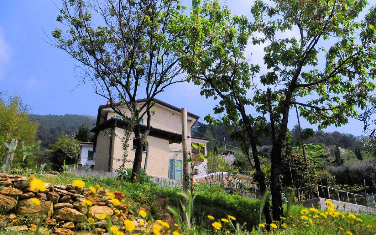 Ferienhaus Pietrasanta 1 Außenansichten 02