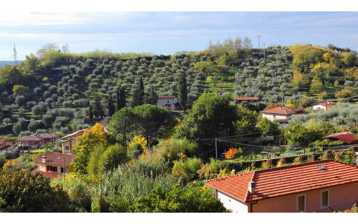 Ferienhaus Pietrasanta 1 Panorama 01