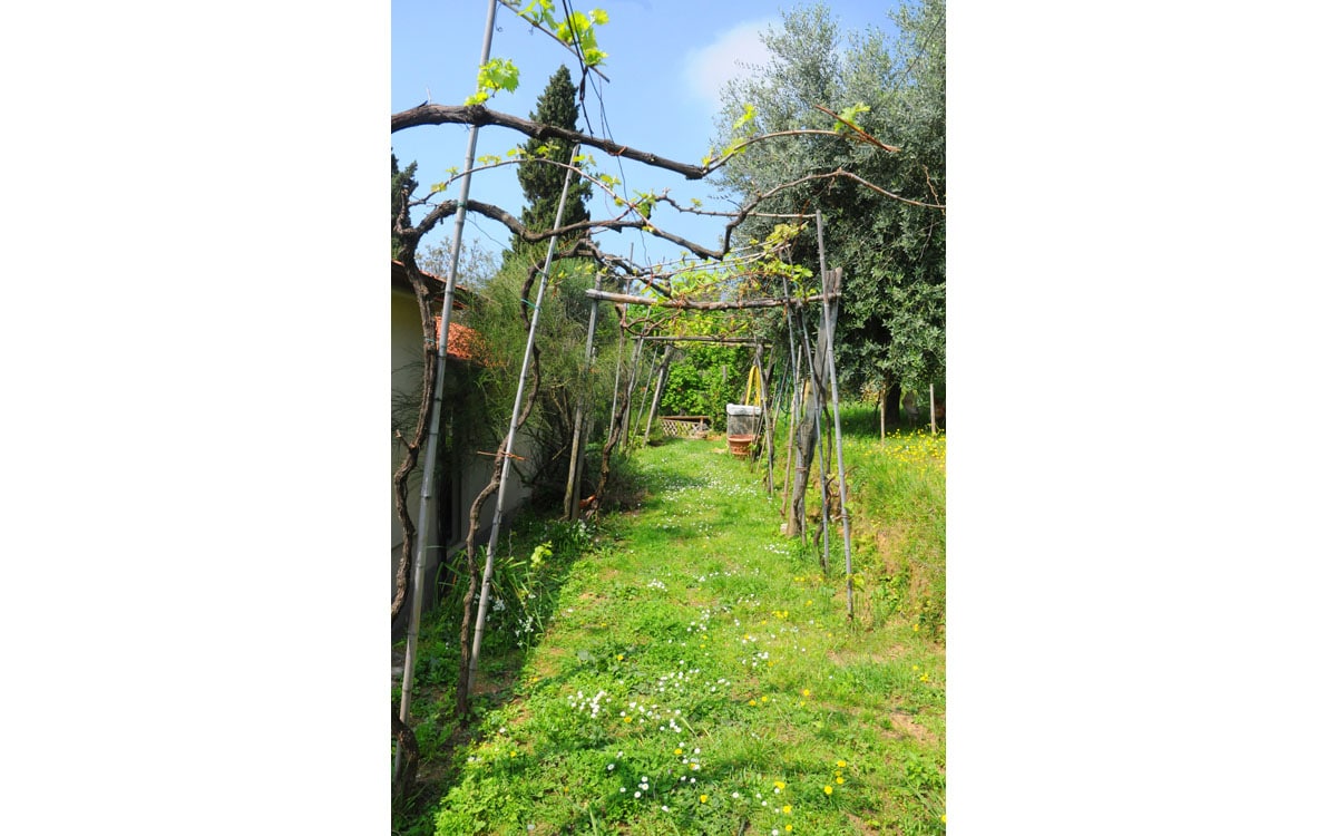 Ferienhaus Pietrasanta 1 Panorama 02