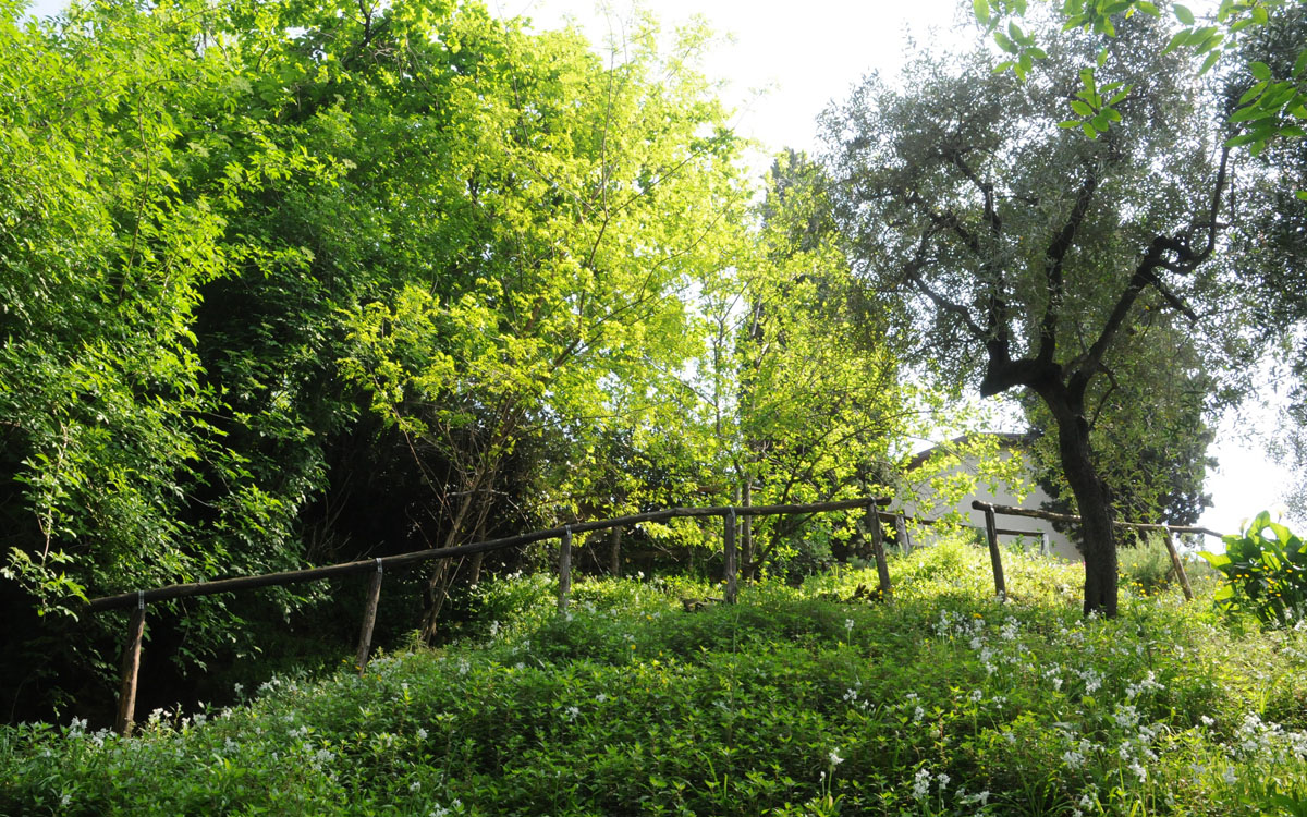 Ferienhaus Pietrasanta 1 Panorama 03