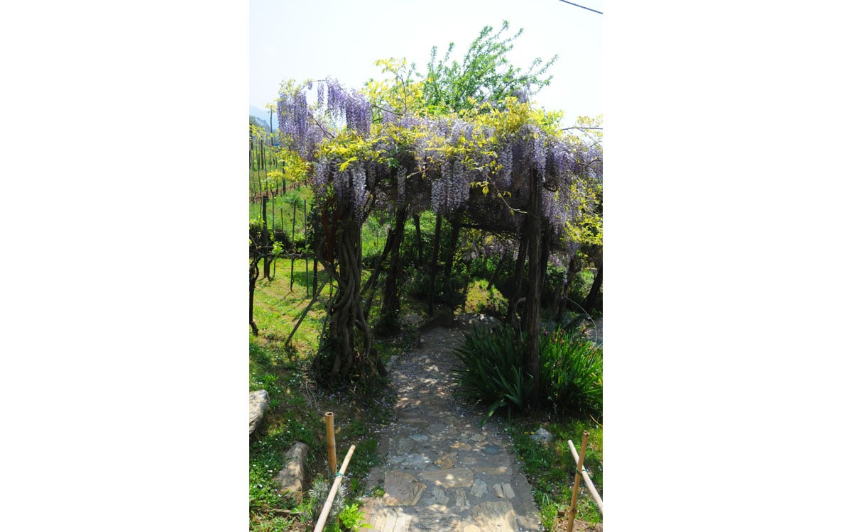 Ferienhaus Pietrasanta 1 Panorama 04