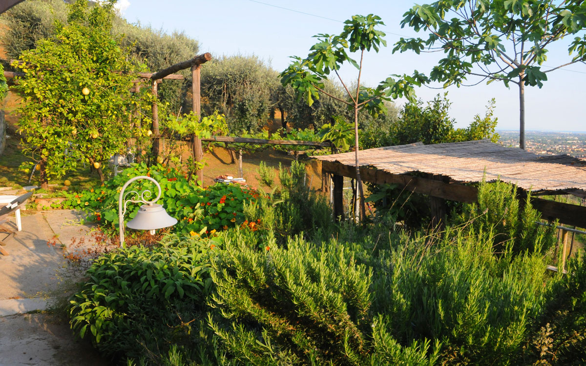 Ferienhaus Pietrasanta 1 Panorama 05