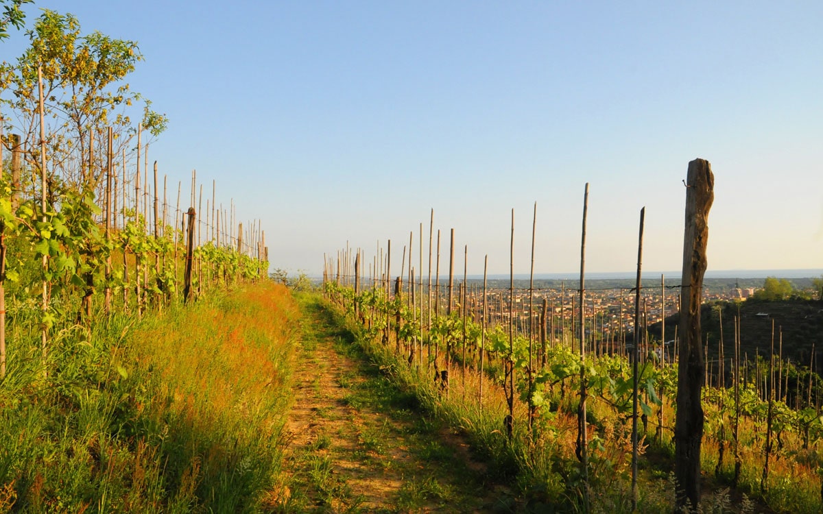 Ferienhaus Pietrasanta 1 Panorama 06