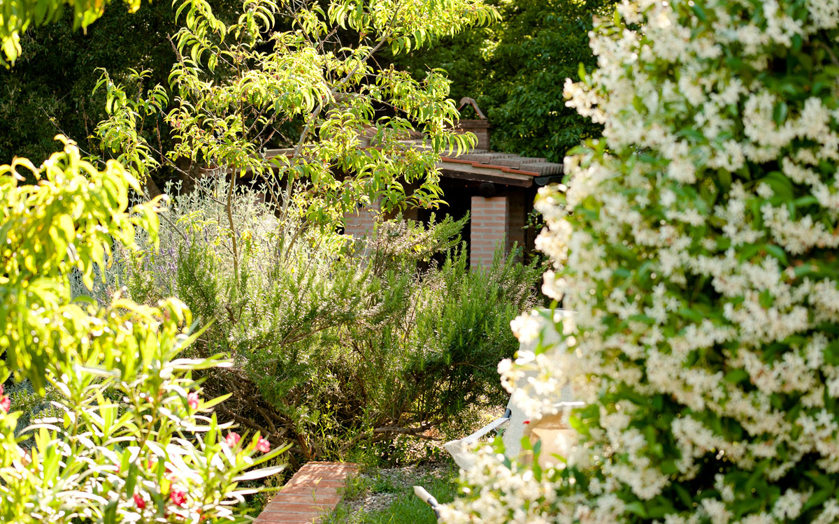Ferienhaus Sassetta Außenansichten 03 Ferienhaus Sassetta Außenansichten 03