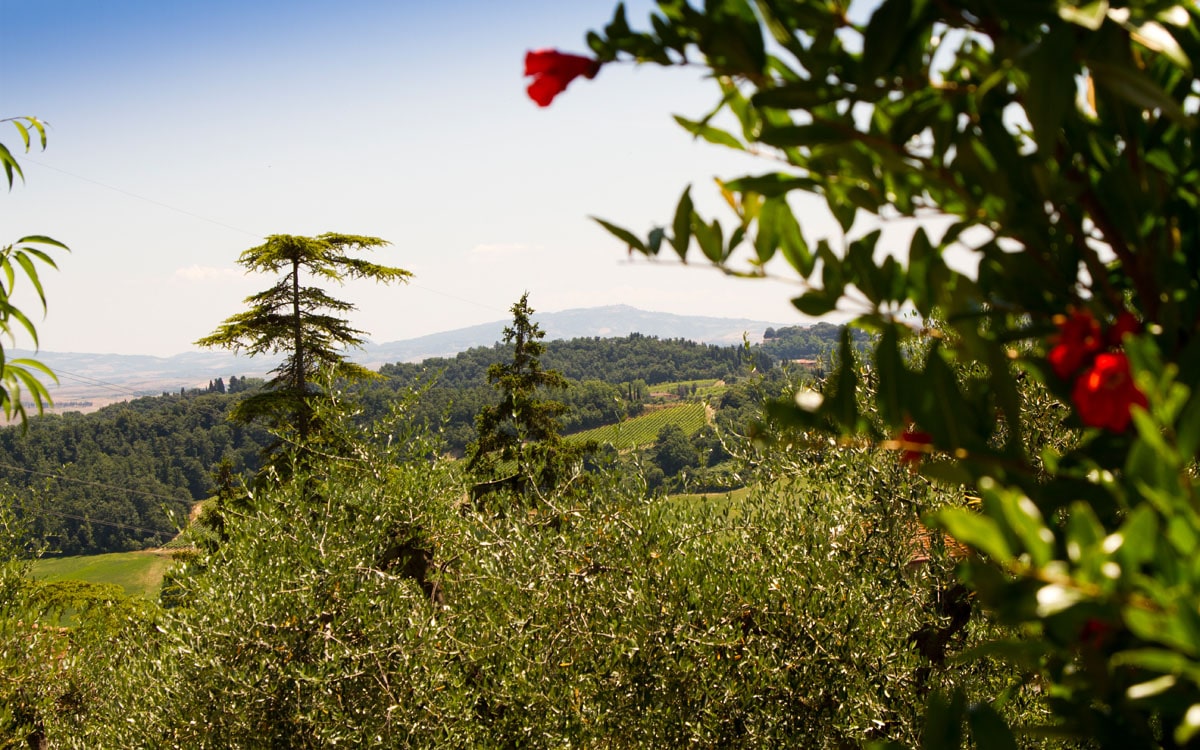 Ferienhaus Toskana 2 Ausblick 07 Ferienhaus Toskana 2 Ausblick 07