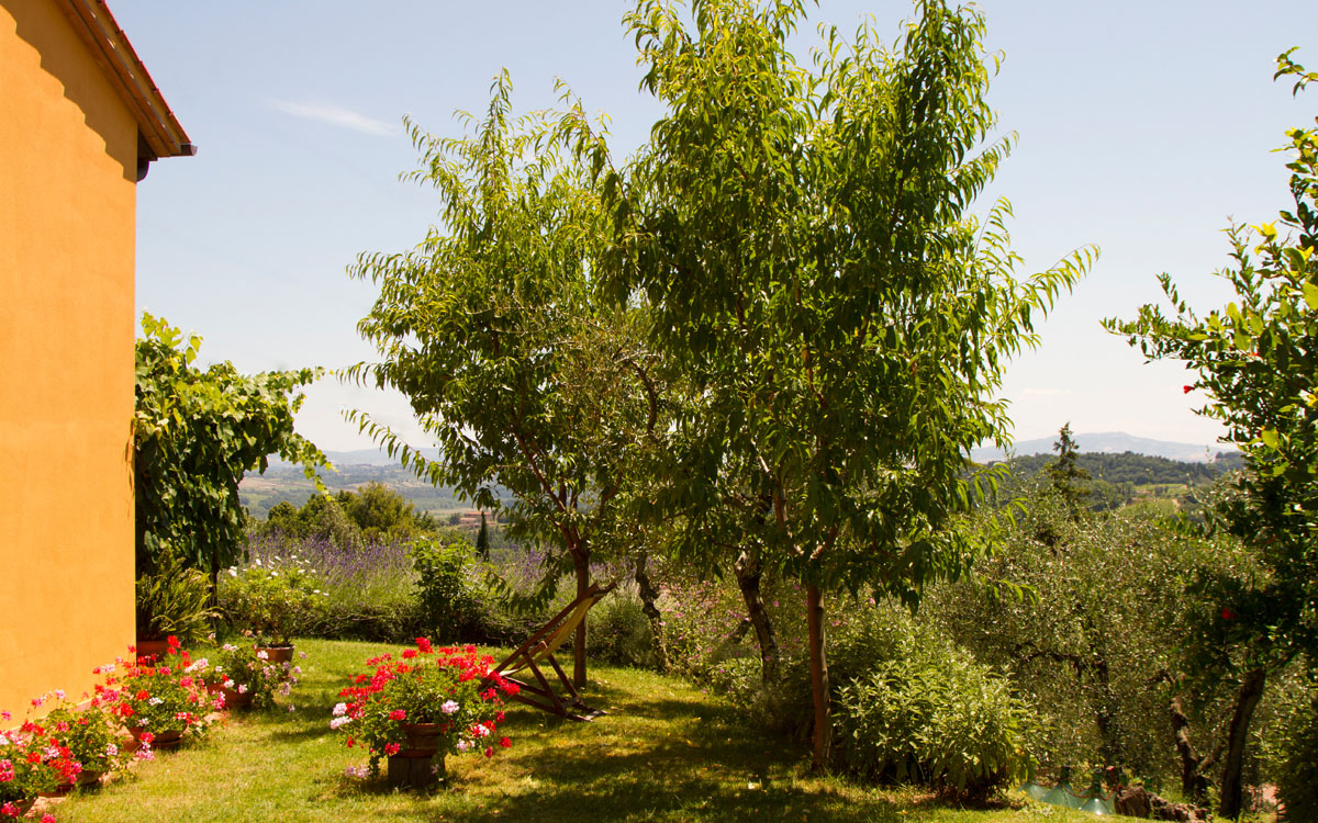 Ferienhaus Toskana 2 Garten 01 Ferienhaus Toskana 2 Garten 01