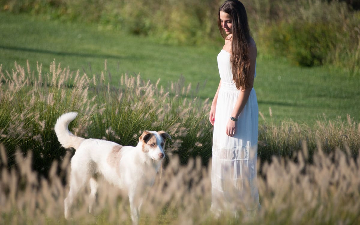 Landgut Terricciola Hunde willkommen (3) Landgut Terricciola Hunde willkommen (3)