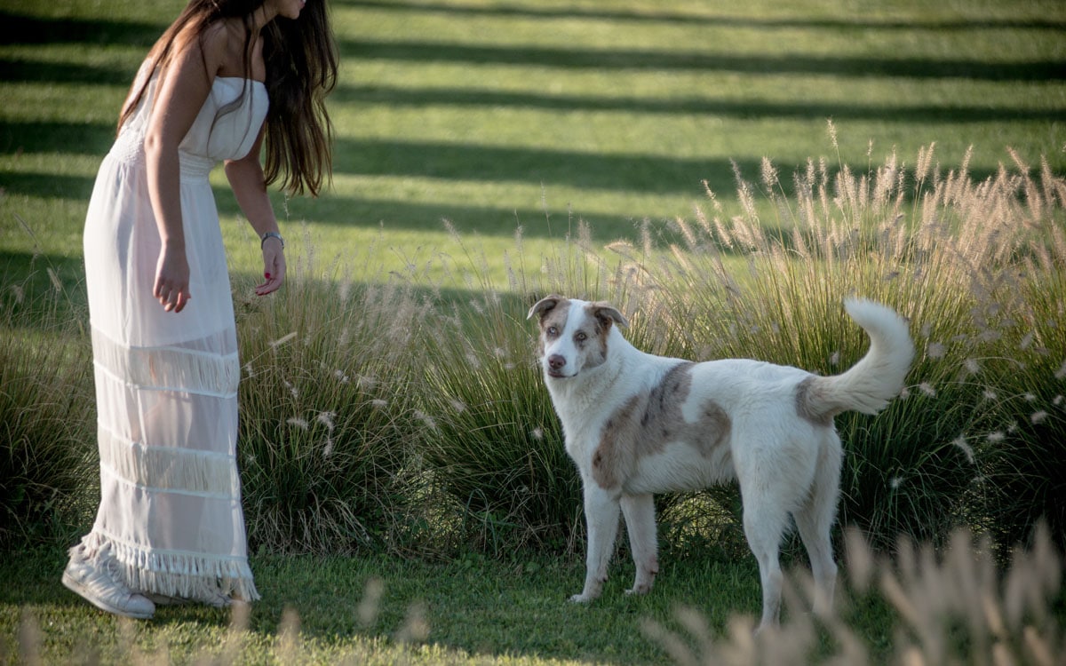 Landgut Terricciola Hunde willkommen (5) Landgut Terricciola Hunde willkommen (5)