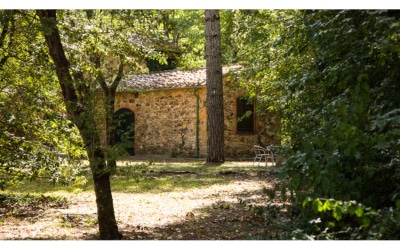 Villa de campo Guardistallo vistas exteriores 11