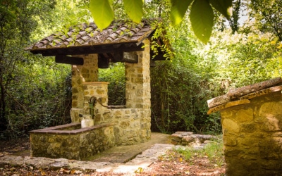 Villa de campo Guardistallo vistas exteriores 22