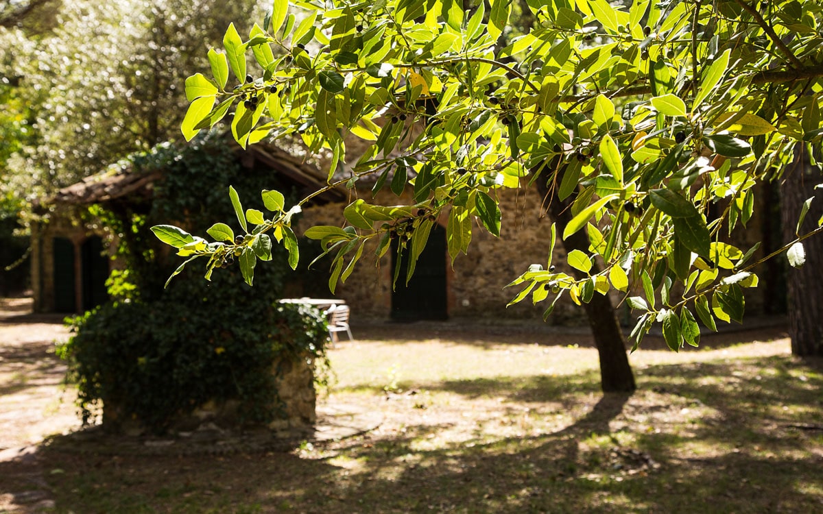 Landvilla Guardistallo Außenansichten 13