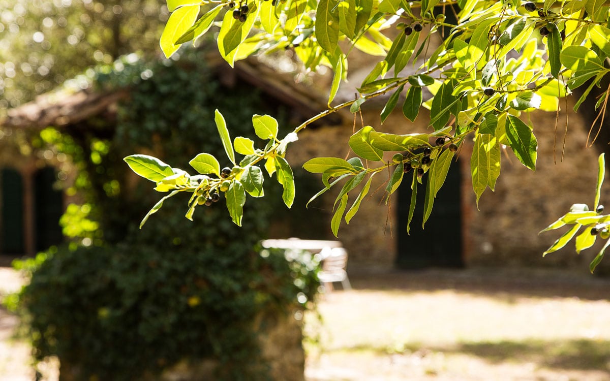 Landvilla Guardistallo Außenansichten 14