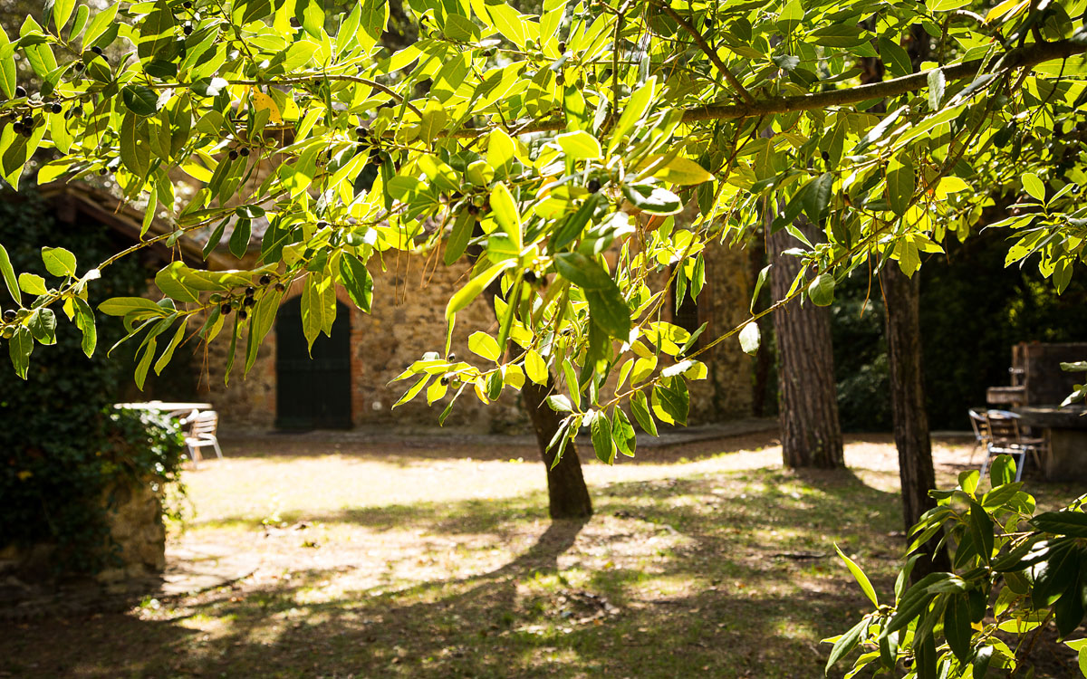 Landvilla Guardistallo Außenansichten 16