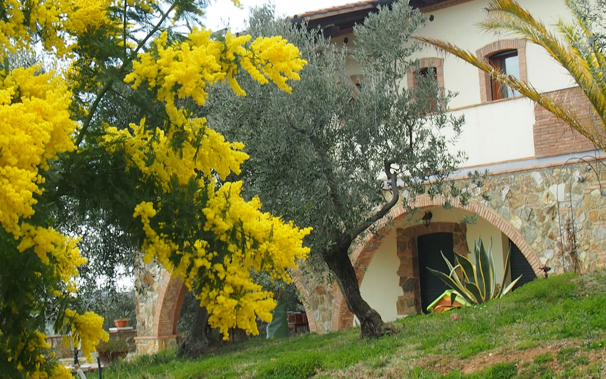 Villa Follonica Außenansichten 06 Villa Follonica Außenansichten 06