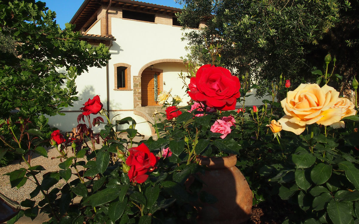 Villa Follonica Außenansichten 07 Villa Follonica Außenansichten 07