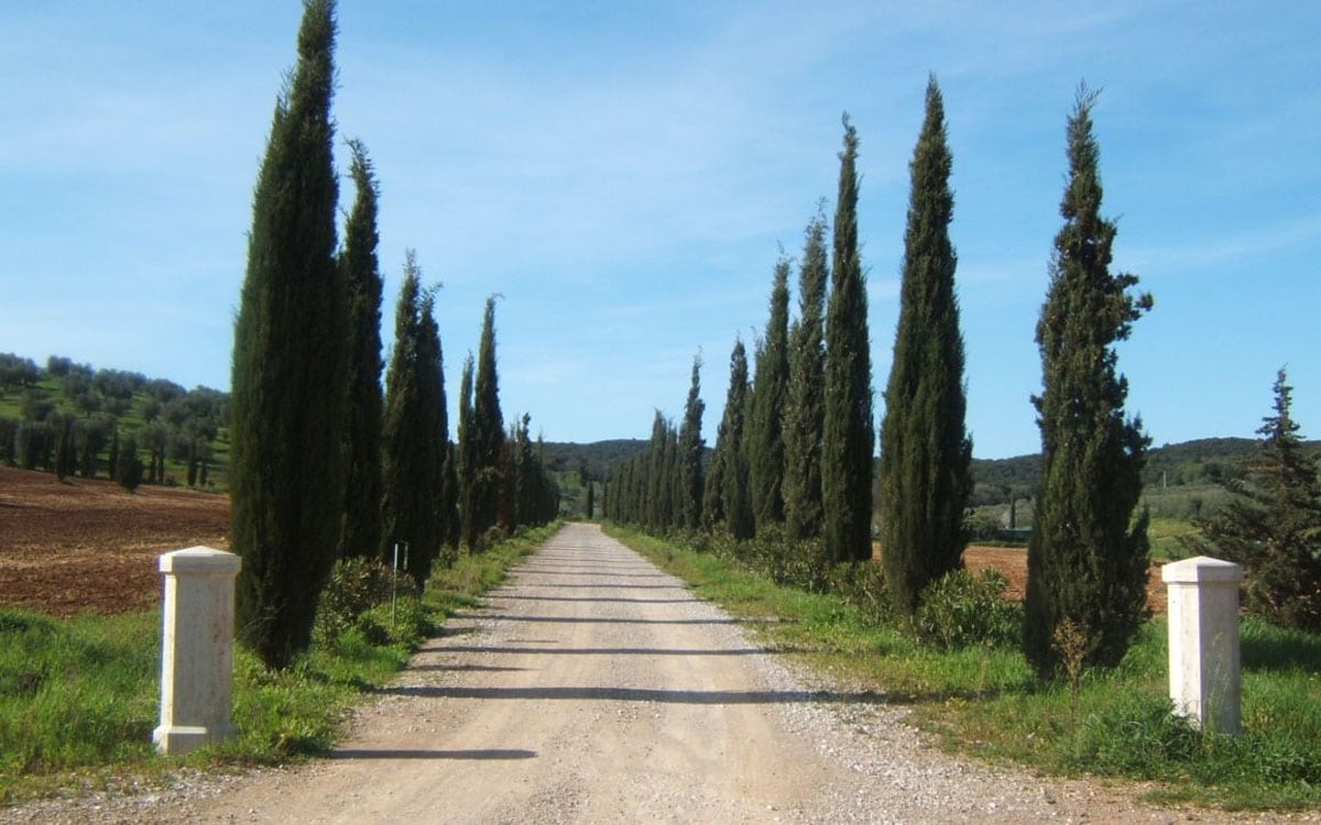 Villa Follonica Einfahrt 01 Villa Follonica Einfahrt 01