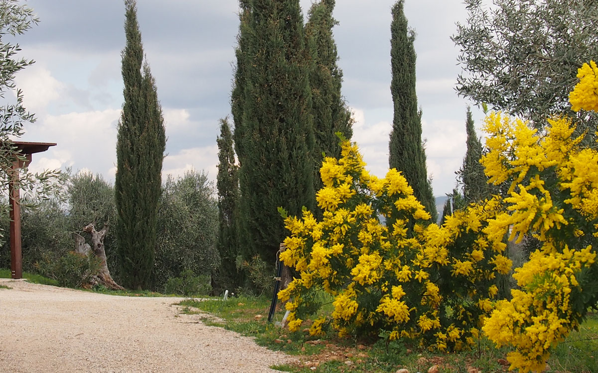 Villa Follonica Impressionen 33 Villa Follonica Impressionen 33