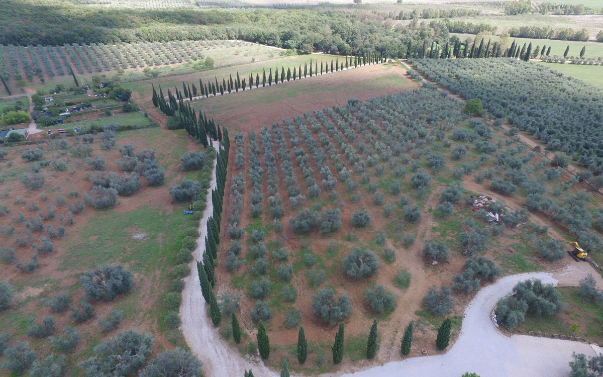 Villa Follonica Panorama 09 Villa Follonica Panorama 09