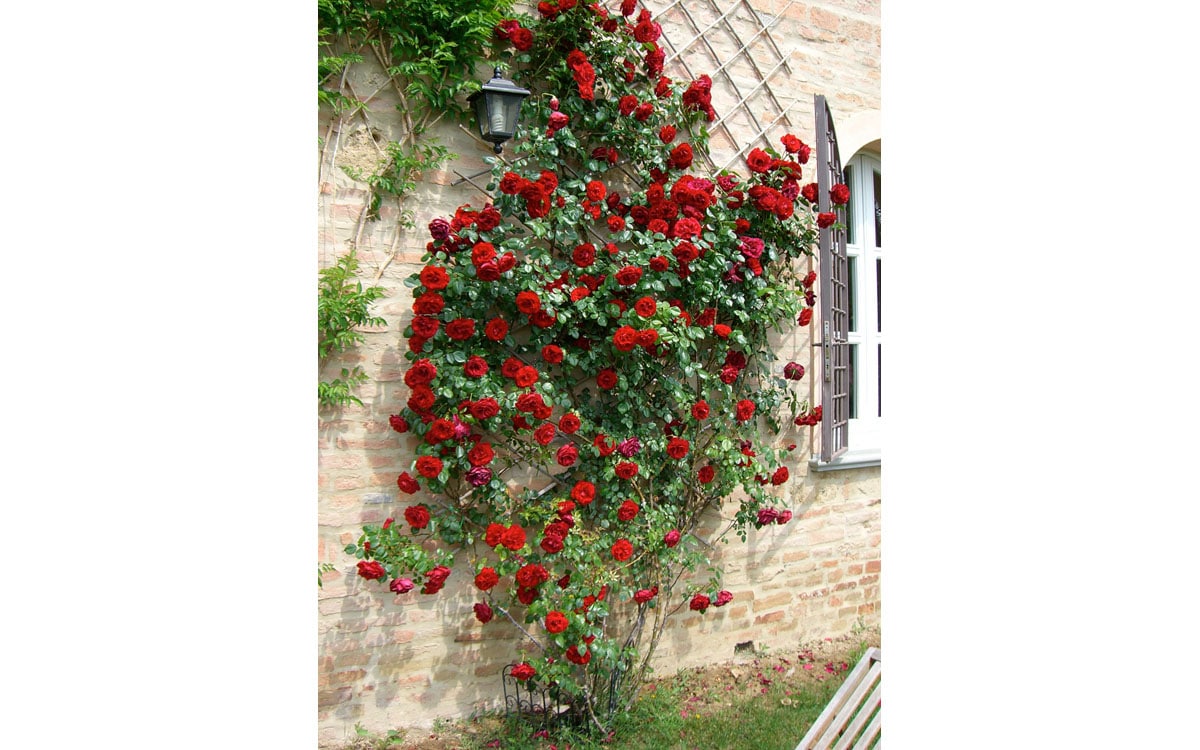 Villa Marti 3 Außenansicht 03