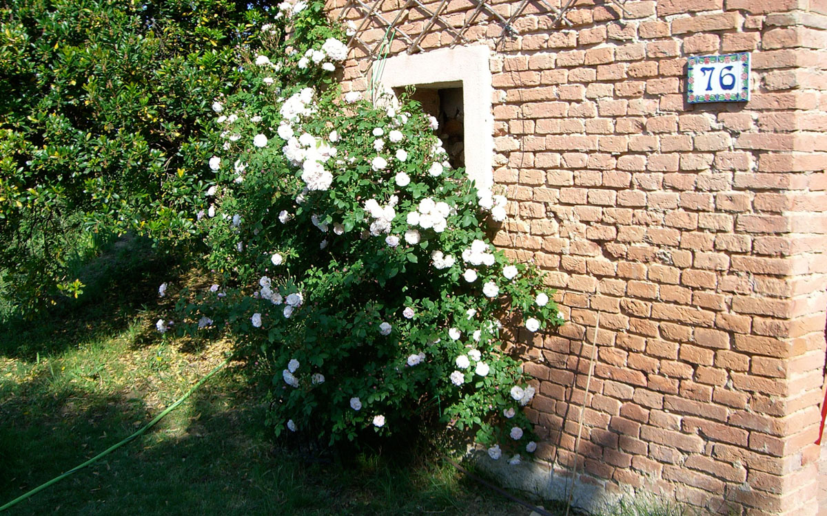 Villa Marti 3 Außenansicht 04