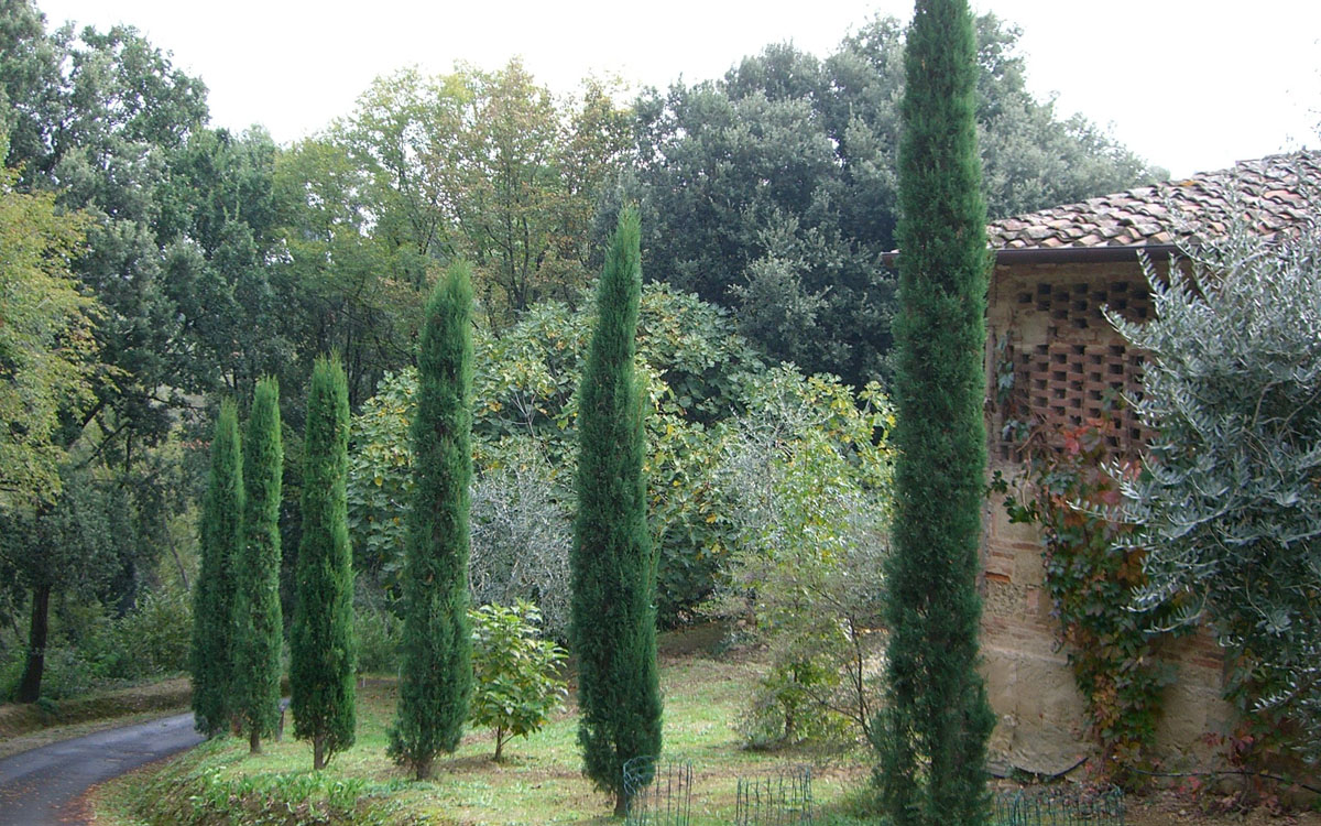 Villa Marti 3 Außenansicht 12