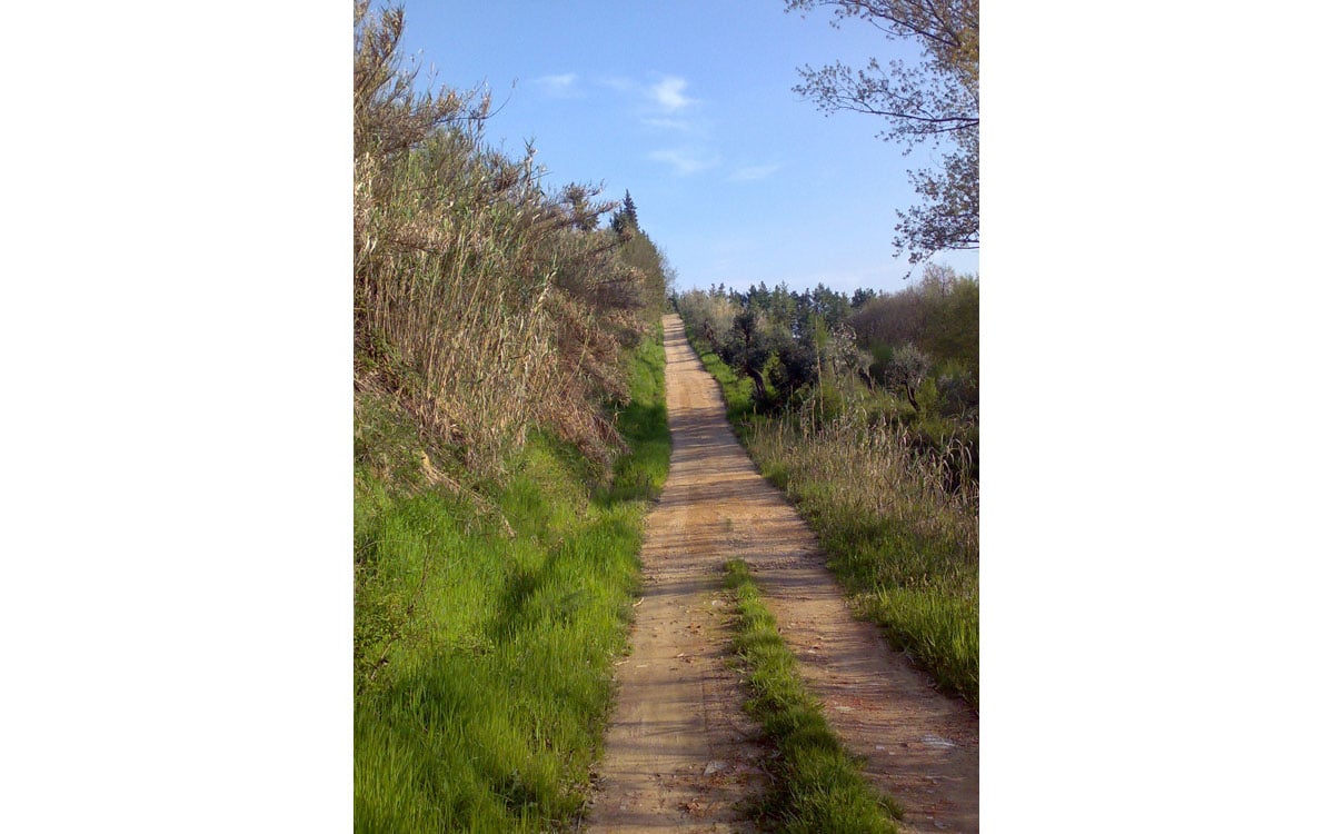 Villa Marti 3 Zufahrt 01