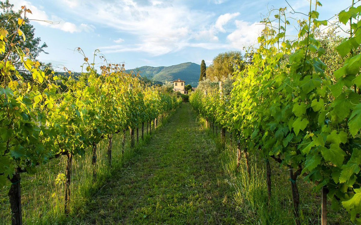 Villa Sesto Fiorentino (18) Villa Sesto Fiorentino (18)
