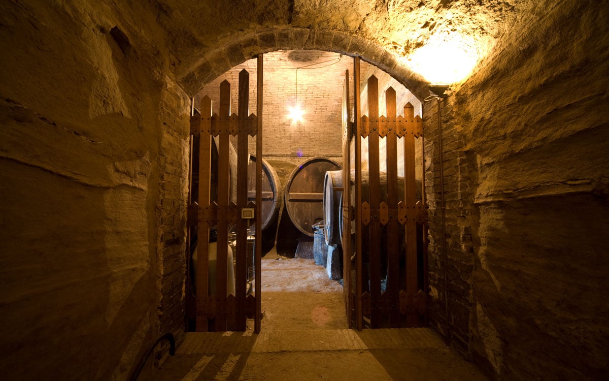 Weingut Terricciola 6 Impressionen 01 Weingut Terricciola 6 Impressionen 01