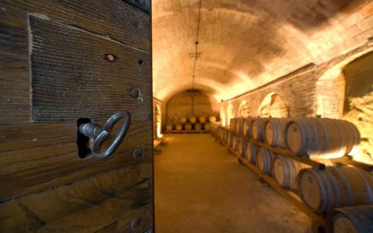 Weingut Terricciola 6 Impressionen 02 Weingut Terricciola 6 Impressionen 02