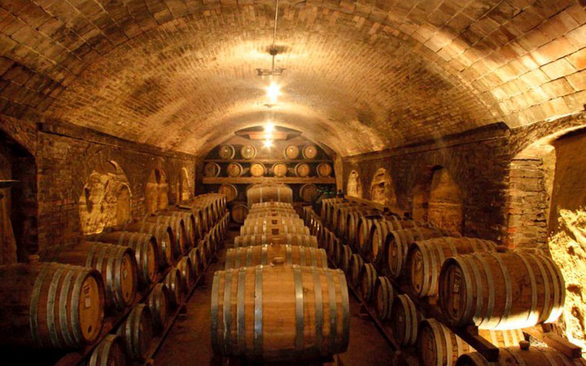 Weingut Terricciola 6 Impressionen 10 Weingut Terricciola 6 Impressionen 10