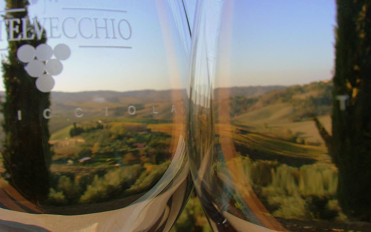 Weingut Terricciola 6 Impressionen 11 Weingut Terricciola 6 Impressionen 11