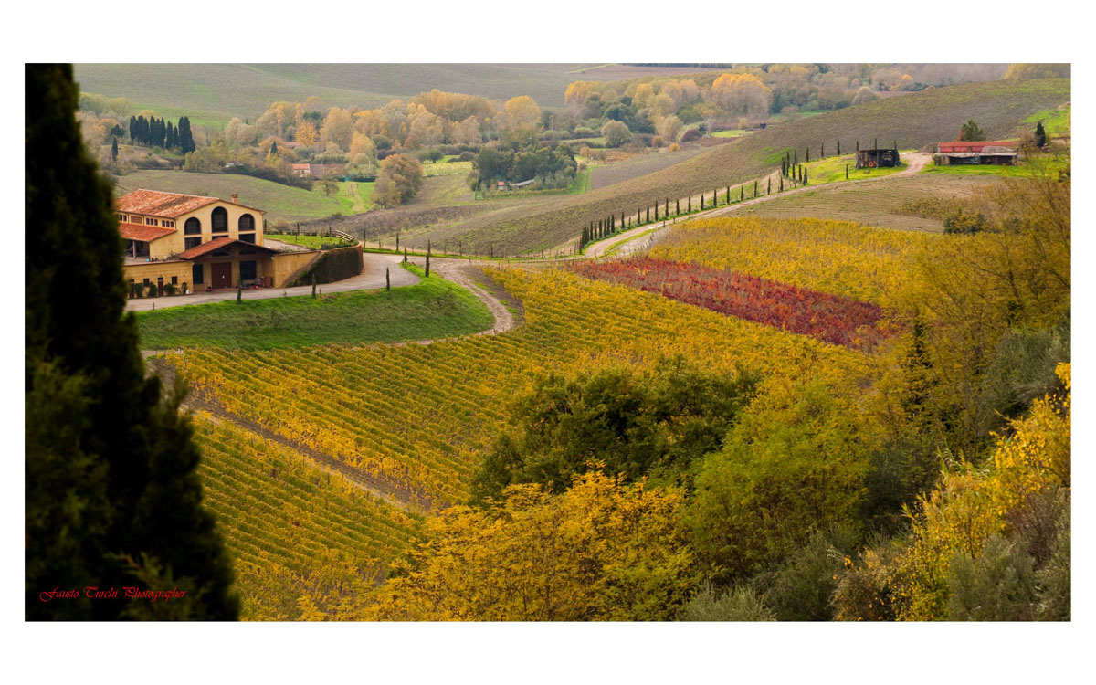 Weingut Terricciola 6 Panorama 09 Weingut Terricciola 6 Panorama 09