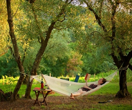 Relax zwischen den Olivenbäumen im Agriturismo Serravalle.